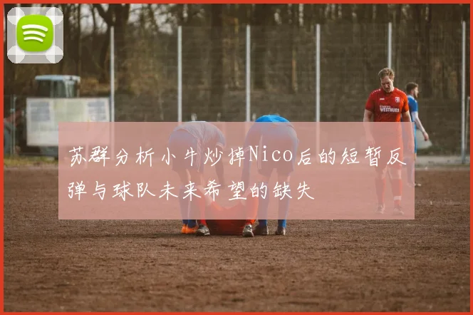 苏群分析小牛炒掉Nico后的短暂反弹与球队未来希望的缺失