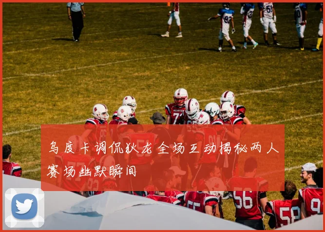 乌度卡调侃狄龙全场互动揭秘两人赛场幽默瞬间