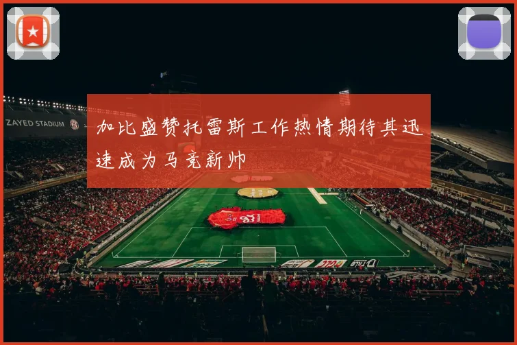 加比盛赞托雷斯工作热情期待其迅速成为马竞新帅